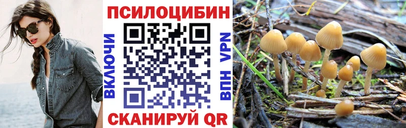 blacksprut рабочий сайт Сатка Псилоцибиновые грибы MAGIC MUSHROOMS
